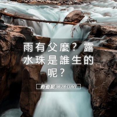 Picture 05 - 約 伯 記 38:28 CUVT - 雨 有 父 麼 ？ 露 水 珠 是 誰 生 的 - Bible Verse Picture
