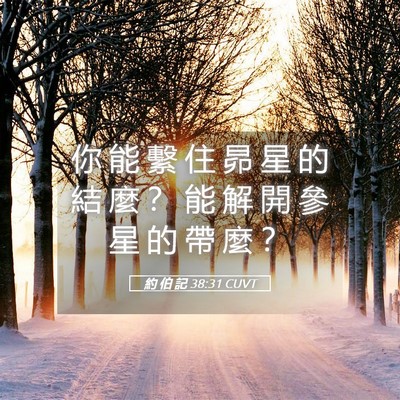 Picture 05 - 約 伯 記 38:31 CUVT - 你 能 繫 住 昴 星 的 結 麼 ？ 能 解 - Bible Verse Picture