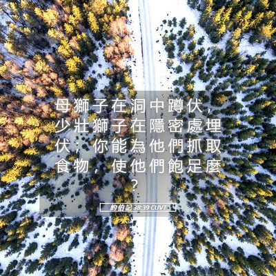 Picture 05 - 約 伯 記 38:39 CUVT - 母 獅 子 在 洞 中 蹲 伏 ， 少 壯 獅 - Bible Verse Picture