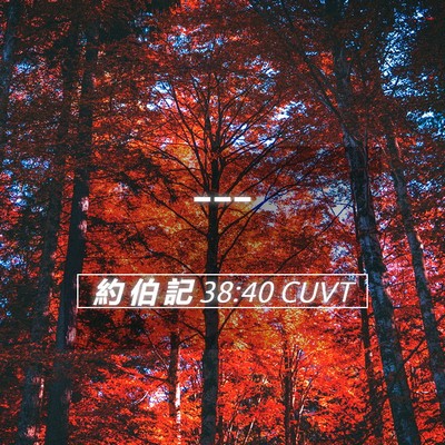 Picture 05 - 約 伯 記 38:40 CUVT -  - Bible Verse Picture