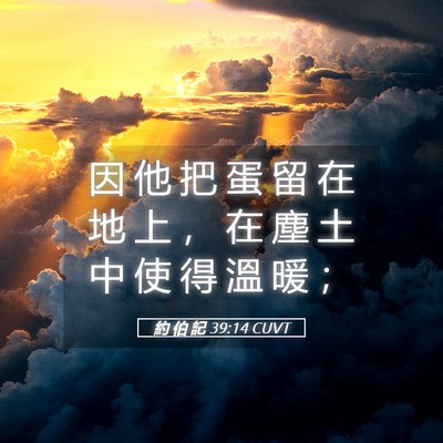 Picture 05 - 約 伯 記 39:14 CUVT - 因 他 把 蛋 留 在 地 上 ， 在 塵 土 - Bible Verse Picture