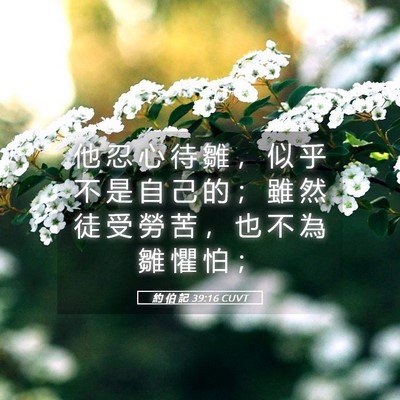 Picture 05 - 約 伯 記 39:16 CUVT - 他 忍 心 待 雛 ， 似 乎 不 是 自 己 - Bible Verse Picture