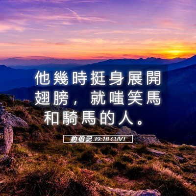 Picture 05 - 約 伯 記 39:18 CUVT - 他 幾 時 挺 身 展 開 翅 膀 ， 就 嗤 - Bible Verse Picture
