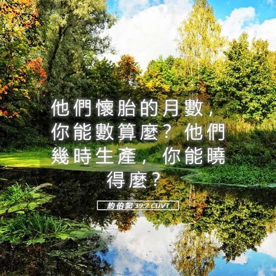 Picture 05 - 約 伯 記 39:2 CUVT - 他 們 懷 胎 的 月 數 ， 你 能 數 算 - Bible Verse Picture