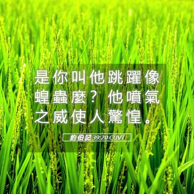 Picture 05 - 約 伯 記 39:20 CUVT - 是 你 叫 他 跳 躍 像 蝗 蟲 麼 ？ 他 - Bible Verse Picture