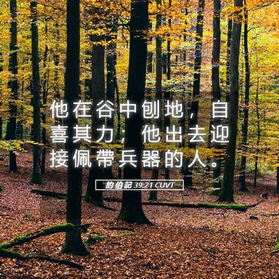Picture 05 - 約 伯 記 39:21 CUVT - 他 在 谷 中 刨 地 ， 自 喜 其 力 ； - Bible Verse Picture