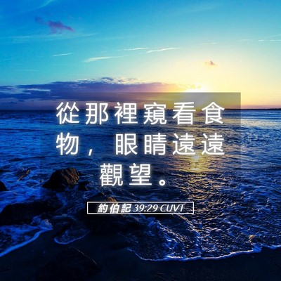 Picture 05 - 約 伯 記 39:29 CUVT - 從 那 裡 窺 看 食 物 ， 眼 睛 遠 遠 - Bible Verse Picture