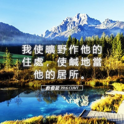 Picture 05 - 約 伯 記 39:6 CUVT - 我 使 曠 野 作 他 的 住 處 ， 使 鹹 - Bible Verse Picture