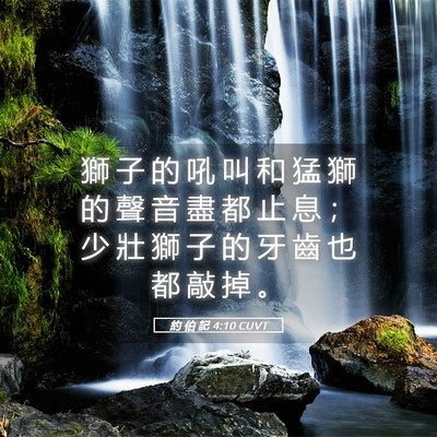Picture 05 - 約 伯 記 4:10 CUVT - 獅 子 的 吼 叫 和 猛 獅 的 聲 音 盡 - Bible Verse Picture