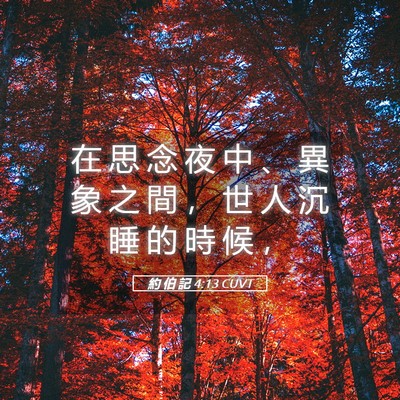 Picture 05 - 約 伯 記 4:13 CUVT - 在 思 念 夜 中 、 異 象 之 間 ， 世 - Bible Verse Picture