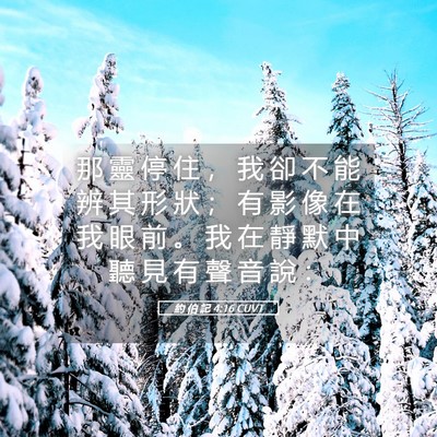 Picture 05 - 約 伯 記 4:16 CUVT - 那 靈 停 住 ， 我 卻 不 能 辨 其 形 - Bible Verse Picture