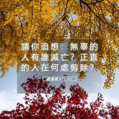 Picture 05 - 約 伯 記 4:7 CUVT - 請 你 追 想 ： 無 辜 的 人 有 誰 滅 - Bible Verse Picture