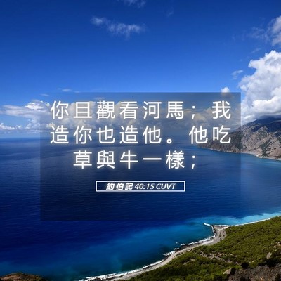 Picture 05 - 約 伯 記 40:15 CUVT - 你 且 觀 看 河 馬 ； 我 造 你 也 造 - Bible Verse Picture