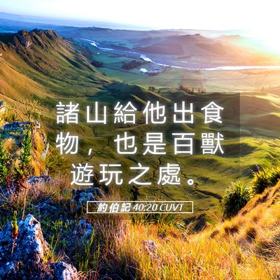 Picture 05 - 約 伯 記 40:20 CUVT - 諸 山 給 他 出 食 物 ， 也 是 百 獸 - Bible Verse Picture