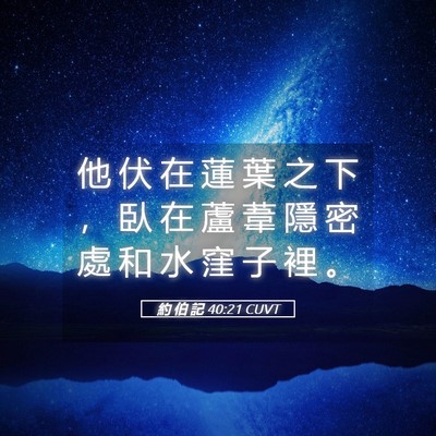 Picture 05 - 約 伯 記 40:21 CUVT - 他 伏 在 蓮 葉 之 下 ， 臥 在 蘆 葦 - Bible Verse Picture