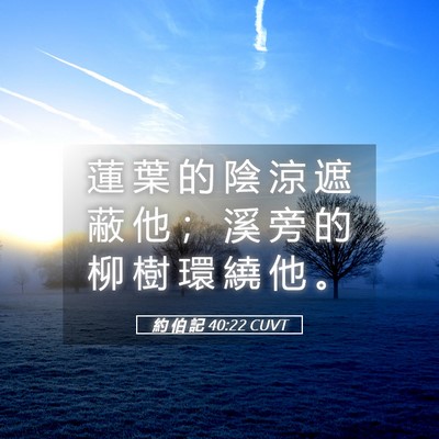 Picture 05 - 約 伯 記 40:22 CUVT - 蓮 葉 的 陰 涼 遮 蔽 他 ； 溪 旁 的 - Bible Verse Picture