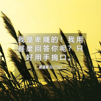 Picture 05 - 約 伯 記 40:4 CUVT - 我 是 卑 賤 的 ！ 我 用 甚 麼 回 答 - Bible Verse Picture