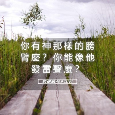 Picture 05 - 約 伯 記 40:9 CUVT - 你 有 神 那 樣 的 膀 臂 麼 ？ 你 能 - Bible Verse Picture