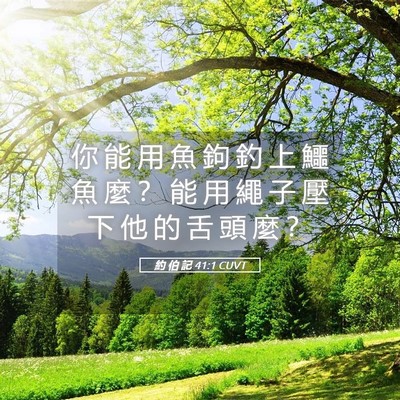 Picture 05 - 約 伯 記 41:1 CUVT - 你 能 用 魚 鉤 釣 上 鱷 魚 麼 ？ 能 - Bible Verse Picture