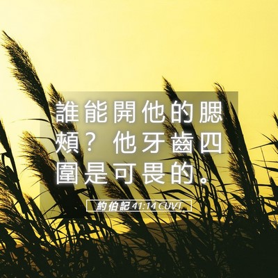 Picture 05 - 約 伯 記 41:14 CUVT - 誰 能 開 他 的 腮 頰 ？ 他 牙 齒 四 - Bible Verse Picture