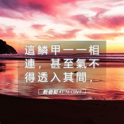 Picture 05 - 約 伯 記 41:16 CUVT - 這 鱗 甲 一 一 相 連 ， 甚 至 氣 不 - Bible Verse Picture