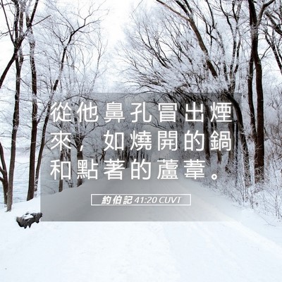 Picture 05 - 約 伯 記 41:20 CUVT - 從 他 鼻 孔 冒 出 煙 來 ， 如 燒 開 - Bible Verse Picture