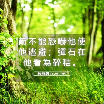 Picture 05 - 約 伯 記 41:28 CUVT - 箭 不 能 恐 嚇 他 使 他 逃 避 ； 彈 - Bible Verse Picture