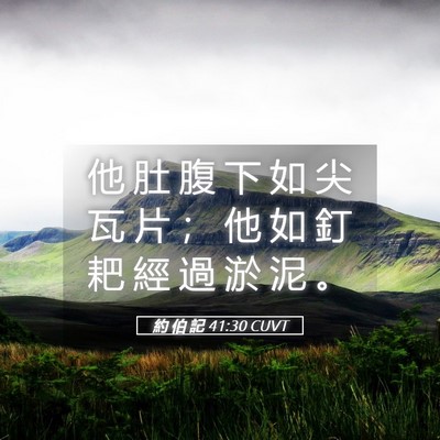 Picture 05 - 約 伯 記 41:30 CUVT - 他 肚 腹 下 如 尖 瓦 片 ； 他 如 釘 - Bible Verse Picture