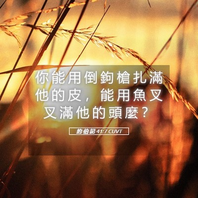 Picture 05 - 約 伯 記 41:7 CUVT - 你 能 用 倒 鉤 槍 扎 滿 他 的 皮 ， - Bible Verse Picture