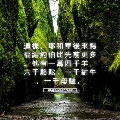 Picture 05 - 約 伯 記 42:12 CUVT - 這 樣 ， 耶 和 華 後 來 賜 福 給 約 - Bible Verse Picture