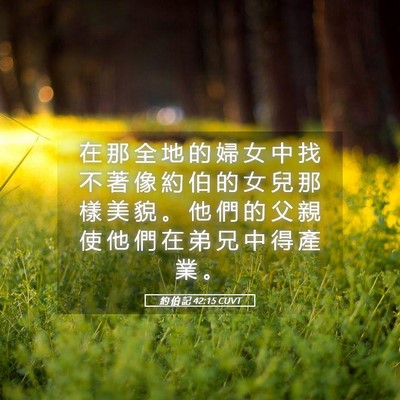 Picture 05 - 約 伯 記 42:15 CUVT - 在 那 全 地 的 婦 女 中 找 不 著 像 - Bible Verse Picture