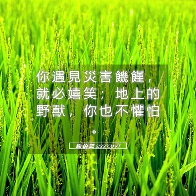 Picture 05 - 約 伯 記 5:22 CUVT - 你 遇 見 災 害 饑 饉 ， 就 必 嬉 笑 - Bible Verse Picture
