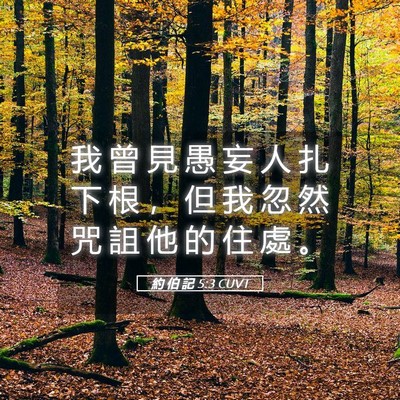Picture 05 - 約 伯 記 5:3 CUVT - 我 曾 見 愚 妄 人 扎 下 根 ， 但 我 - Bible Verse Picture