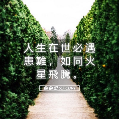Picture 05 - 約 伯 記 5:7 CUVT - 人 生 在 世 必 遇 患 難 ， 如 同 火 - Bible Verse Picture