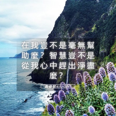 Picture 05 - 約 伯 記 6:13 CUVT - 在 我 豈 不 是 毫 無 幫 助 麼 ？ 智 - Bible Verse Picture