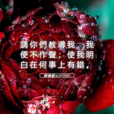 Picture 05 - 約 伯 記 6:24 CUVT - 請 你 們 教 導 我 ， 我 便 不 作 聲 - Bible Verse Picture