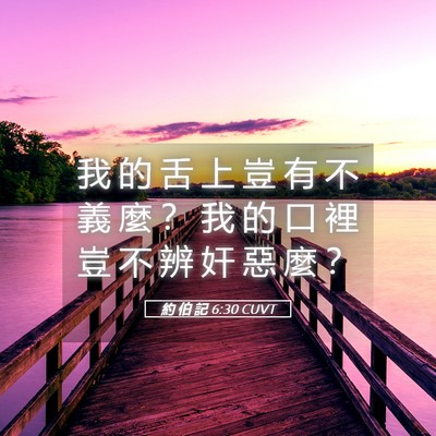 Picture 05 - 約 伯 記 6:30 CUVT - 我 的 舌 上 豈 有 不 義 麼 ？ 我 的 - Bible Verse Picture