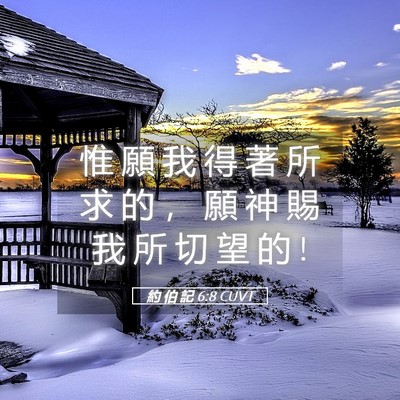 Picture 05 - 約 伯 記 6:8 CUVT - 惟 願 我 得 著 所 求 的 ， 願 神 賜 - Bible Verse Picture