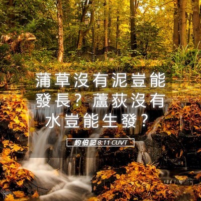 Picture 05 - 約 伯 記 8:11 CUVT - 蒲 草 沒 有 泥 豈 能 發 長 ？ 蘆 荻 - Bible Verse Picture