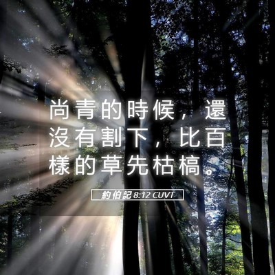 Picture 05 - 約 伯 記 8:12 CUVT - 尚 青 的 時 候 ， 還 沒 有 割 下 ， - Bible Verse Picture