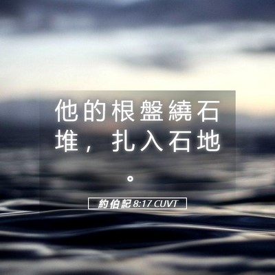 Picture 05 - 約 伯 記 8:17 CUVT - 他 的 根 盤 繞 石 堆 ， 扎 入 石 地 - Bible Verse Picture