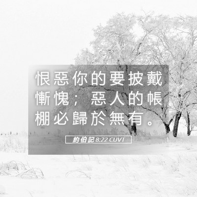 Picture 05 - 約 伯 記 8:22 CUVT - 恨 惡 你 的 要 披 戴 慚 愧 ； 惡 人 - Bible Verse Picture