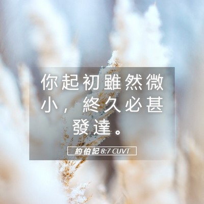 Picture 05 - 約 伯 記 8:7 CUVT - 你 起 初 雖 然 微 小 ， 終 久 必 甚 - Bible Verse Picture