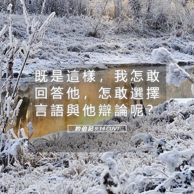 Picture 05 - 約 伯 記 9:14 CUVT - 既 是 這 樣 ， 我 怎 敢 回 答 他 ， - Bible Verse Picture