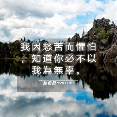 Picture 05 - 約 伯 記 9:28 CUVT - 我 因 愁 苦 而 懼 怕 ， 知 道 你 必 - Bible Verse Picture