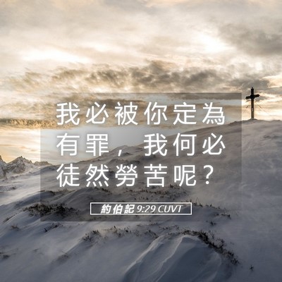 Picture 05 - 約 伯 記 9:29 CUVT - 我 必 被 你 定 為 有 罪 ， 我 何 必 - Bible Verse Picture