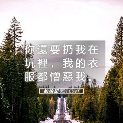 Picture 05 - 約 伯 記 9:31 CUVT - 你 還 要 扔 我 在 坑 裡 ， 我 的 衣 - Bible Verse Picture