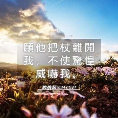 Picture 05 - 約 伯 記 9:34 CUVT - 願 他 把 杖 離 開 我 ， 不 使 驚 惶 - Bible Verse Picture