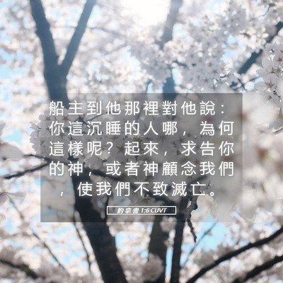 Picture 05 - 約 拿 書 1:6 CUVT - 船 主 到 他 那 裡 對 他 說 ： 你 這 - Bible Verse Picture