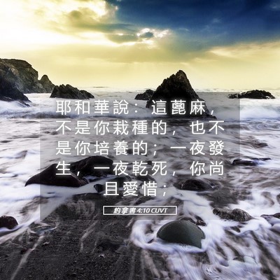 Picture 05 - 約 拿 書 4:10 CUVT - 耶 和 華 說 ： 這 蓖 麻 ， 不 是 你 - Bible Verse Picture